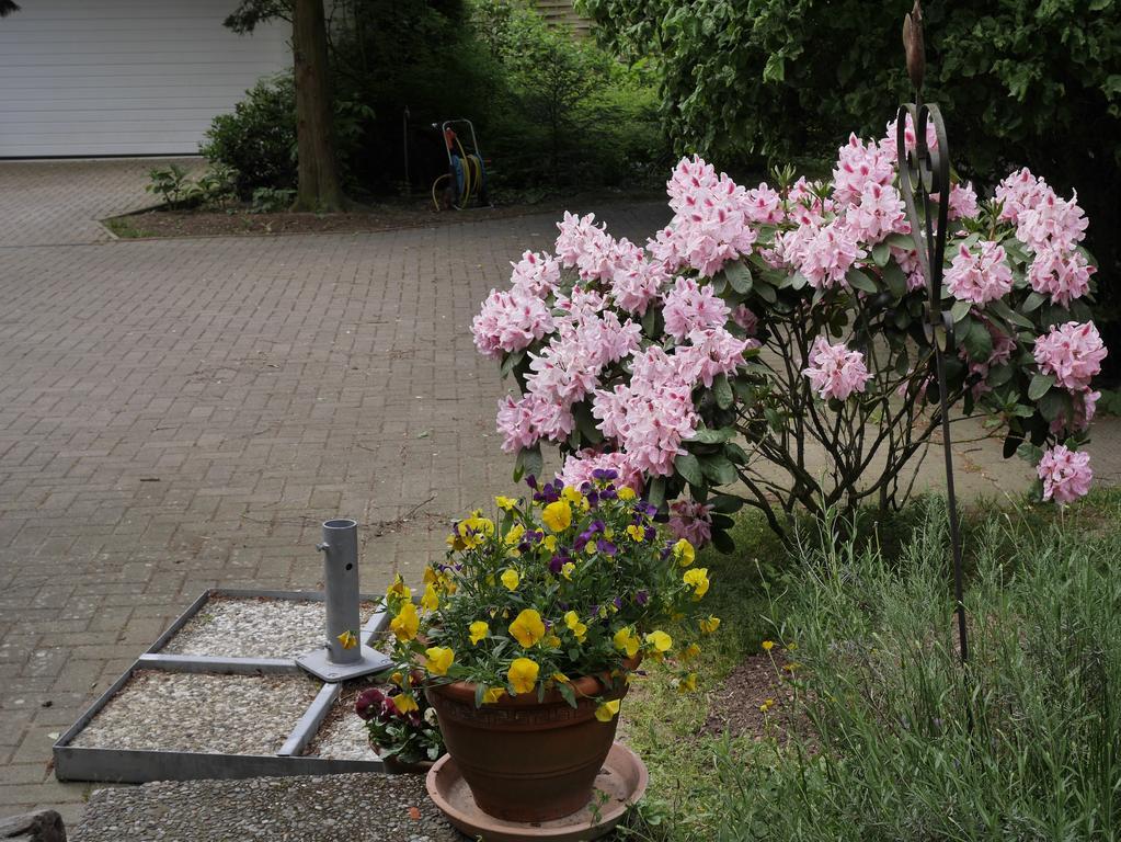 Villa Kuekenkamp Ratzlingen  Ngoại thất bức ảnh